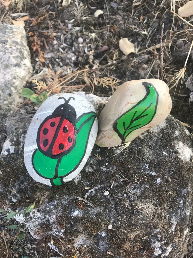 Fotos: &#039;PetreArte&#039;, pintura sobre piedras en Palazuelos de Muñó