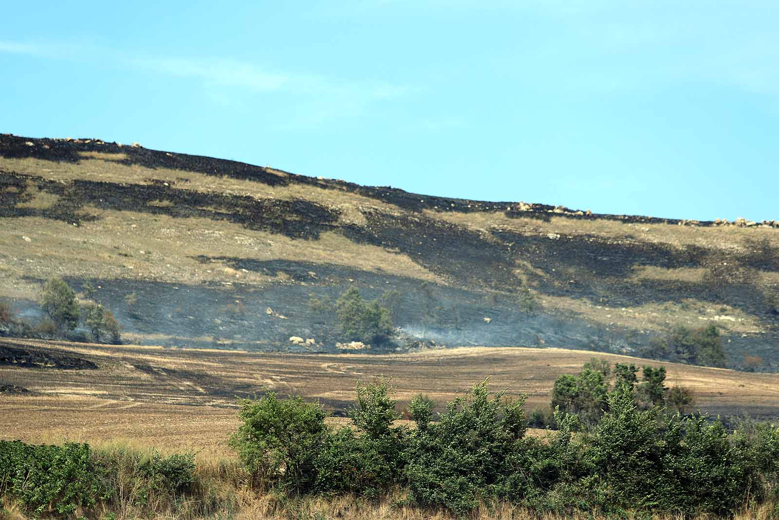 Fotos: Incendio en el parque eólico de Valle de Santibáñez