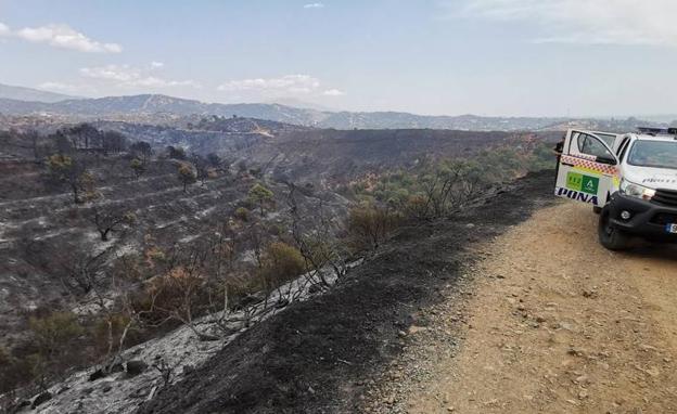 Imagen de la zona siniestrada.