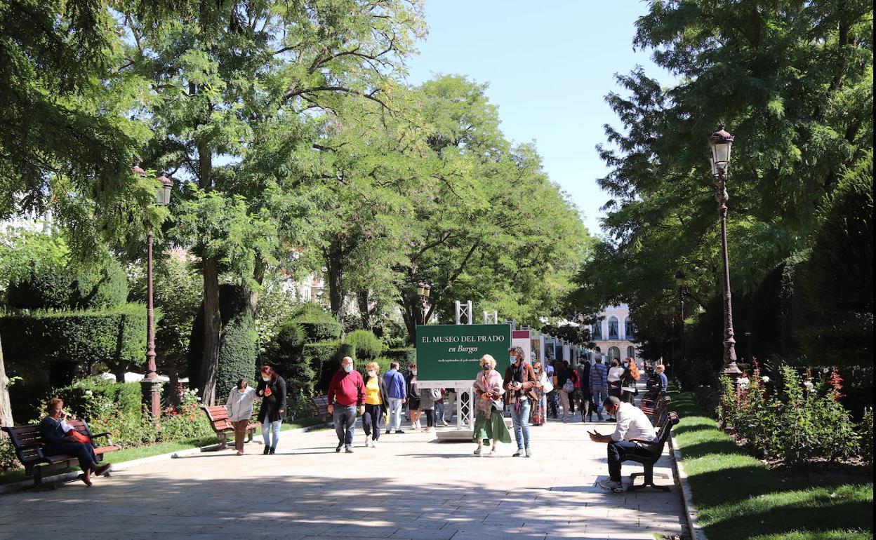 Las exposiciones de calle han atraído muchas atenciones.