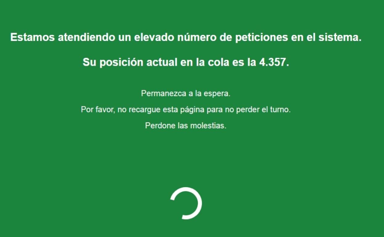 Situación de la página web bonos consumo