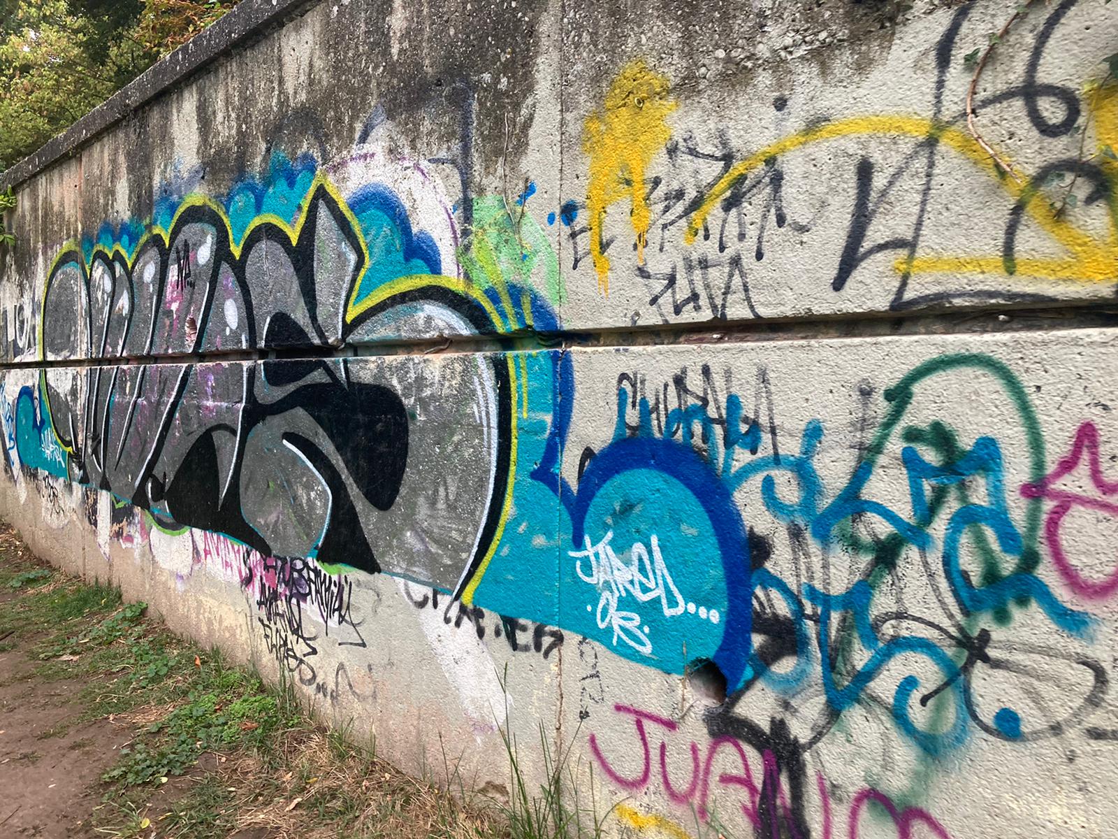 Fotos: Los grafitis inundan la ciudad de Burgos