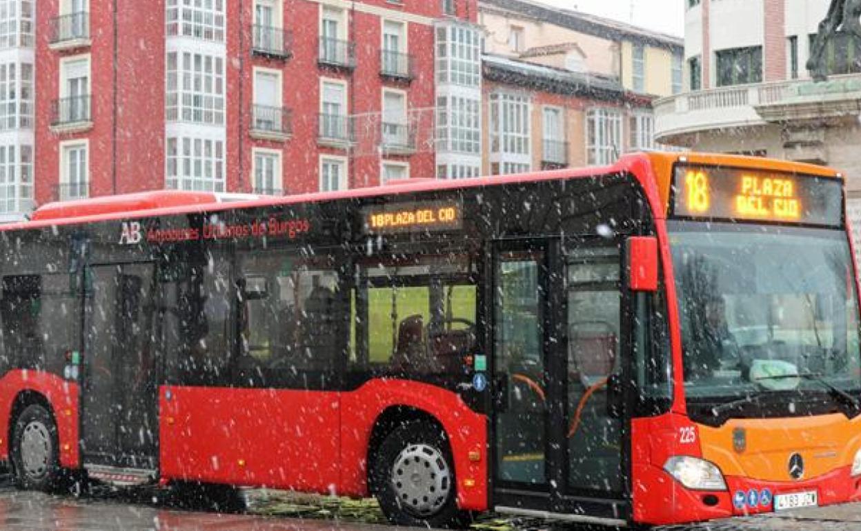 Autobuses urbanos es una de las áreas que más demandas de información acumula.