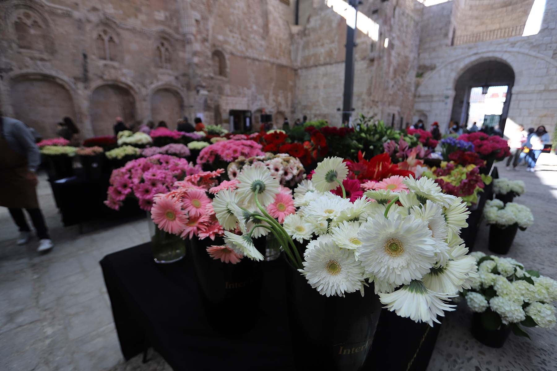 Fotos: En busca del mejor artesano florista de España