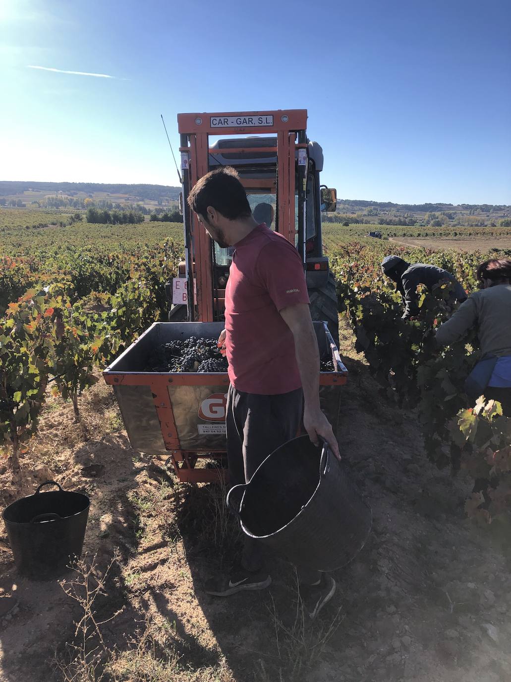 La Ribera del Duero se prepara para la campaña.