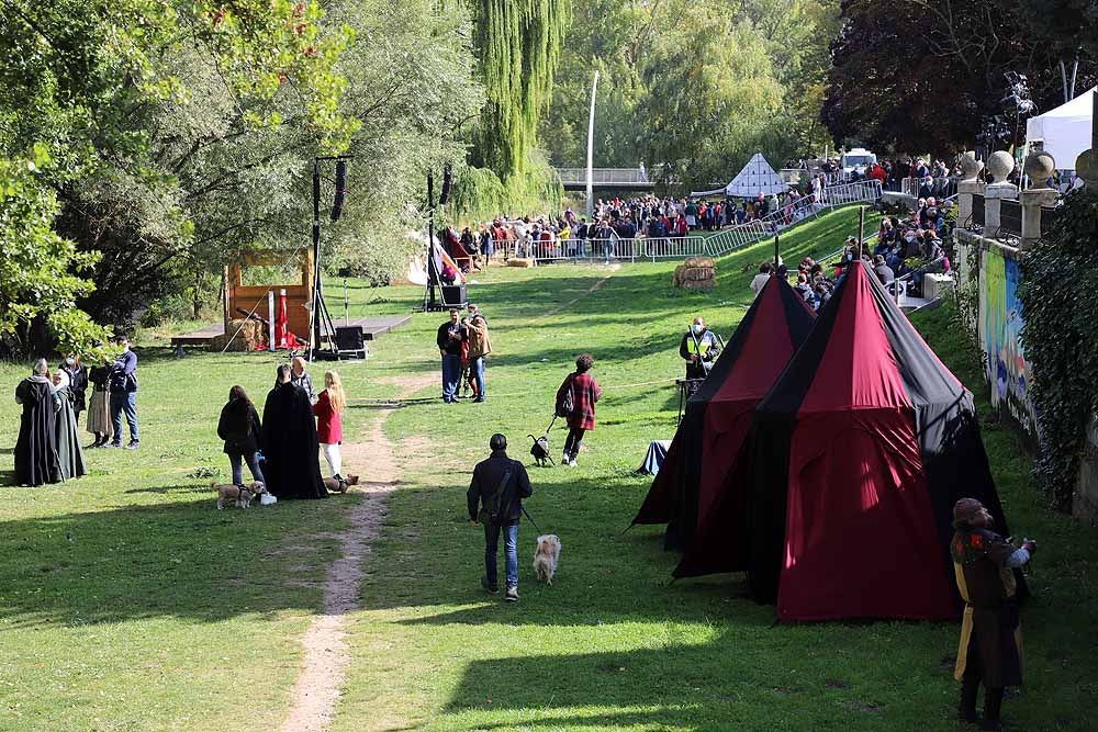 Fotos: Burgos vive un fin de semana cidiano muy literario