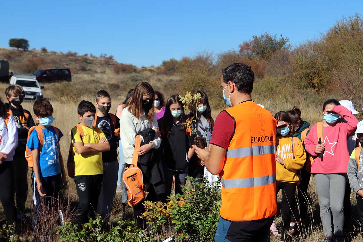 Fotos: Los niños burgaleses aprenden a respetar a unos vecinos fundamentales, los árboles