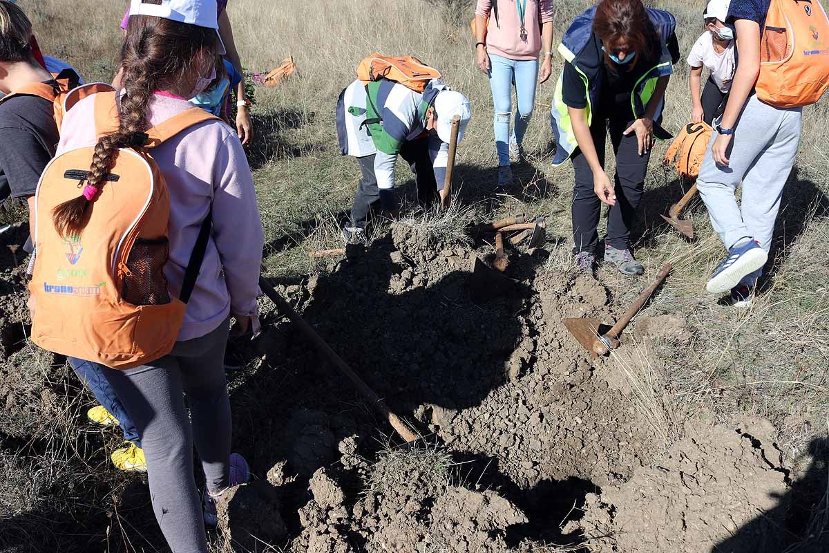 Fotos: Los niños burgaleses aprenden a respetar a unos vecinos fundamentales, los árboles