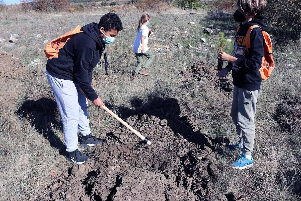 Fotos: Los niños burgaleses aprenden a respetar a unos vecinos fundamentales, los árboles