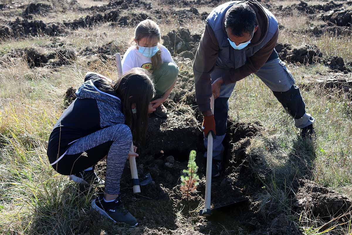 Fotos: Los niños burgaleses aprenden a respetar a unos vecinos fundamentales, los árboles