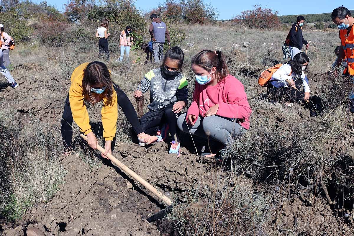 Fotos: Los niños burgaleses aprenden a respetar a unos vecinos fundamentales, los árboles