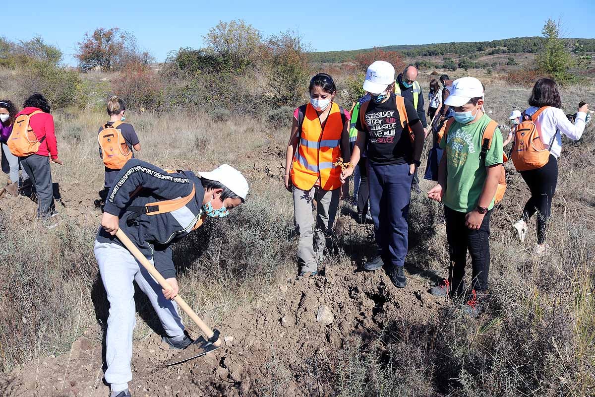 Fotos: Los niños burgaleses aprenden a respetar a unos vecinos fundamentales, los árboles