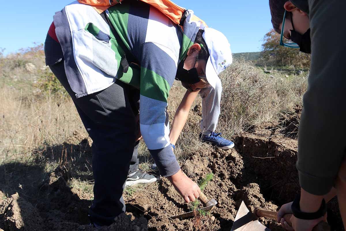 Fotos: Los niños burgaleses aprenden a respetar a unos vecinos fundamentales, los árboles