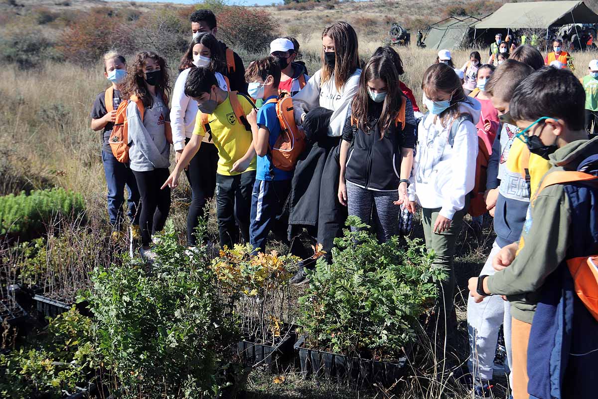 Fotos: Los niños burgaleses aprenden a respetar a unos vecinos fundamentales, los árboles