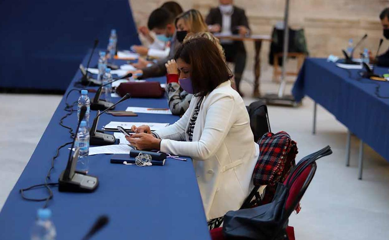 Marga Arroyo ha estado sola en el Pleno municipal tras la disimión de Israel Hernando.