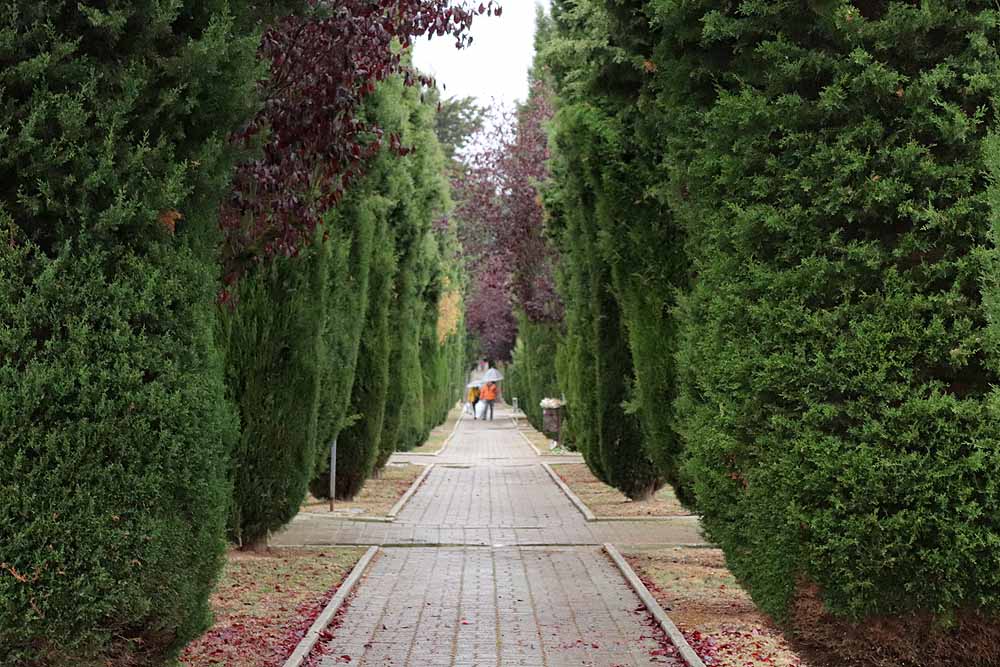 Fotos: La lluvia está marcando las visitas al cementerio de Burgos