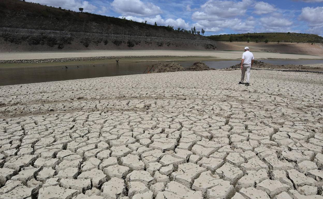 El embalse de Ricobayo, el pasado mes de agosto.