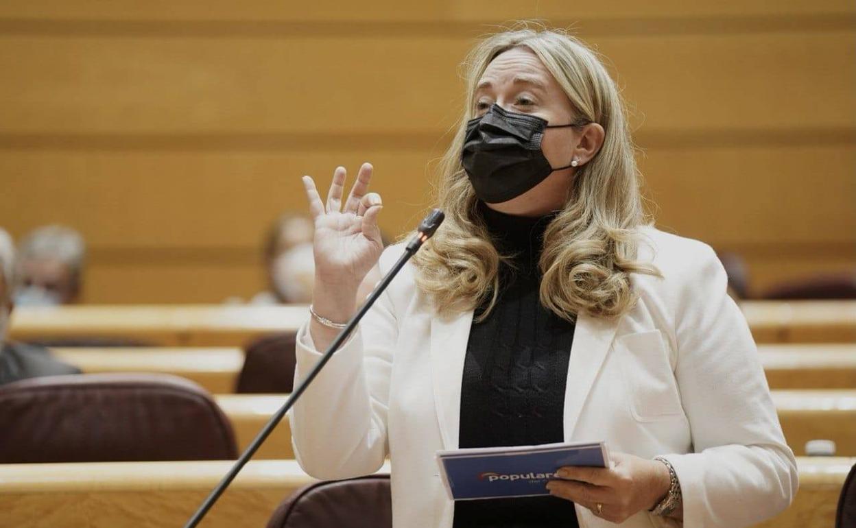 La senadora del PP por Burgos, Cristina Ayala, en su intervención este martes.