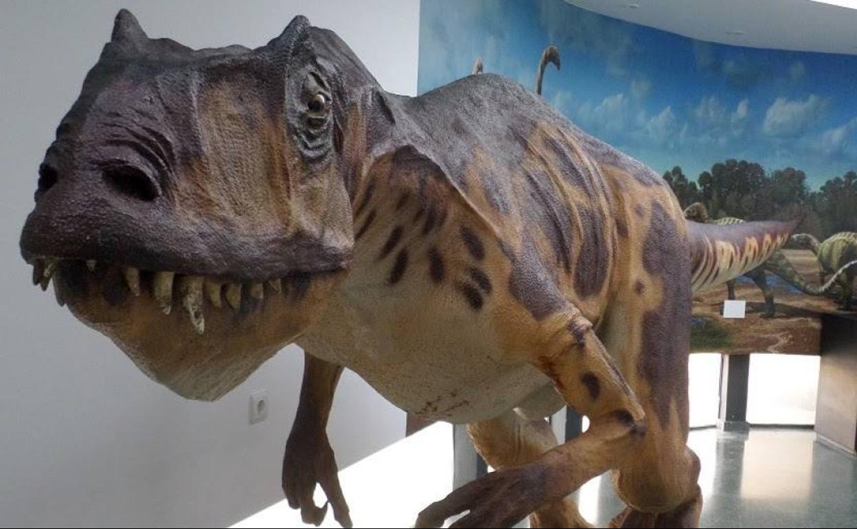 Ejemplar de Terópodo en el Museo de Dinosaurios de Salas de los Infantes. 