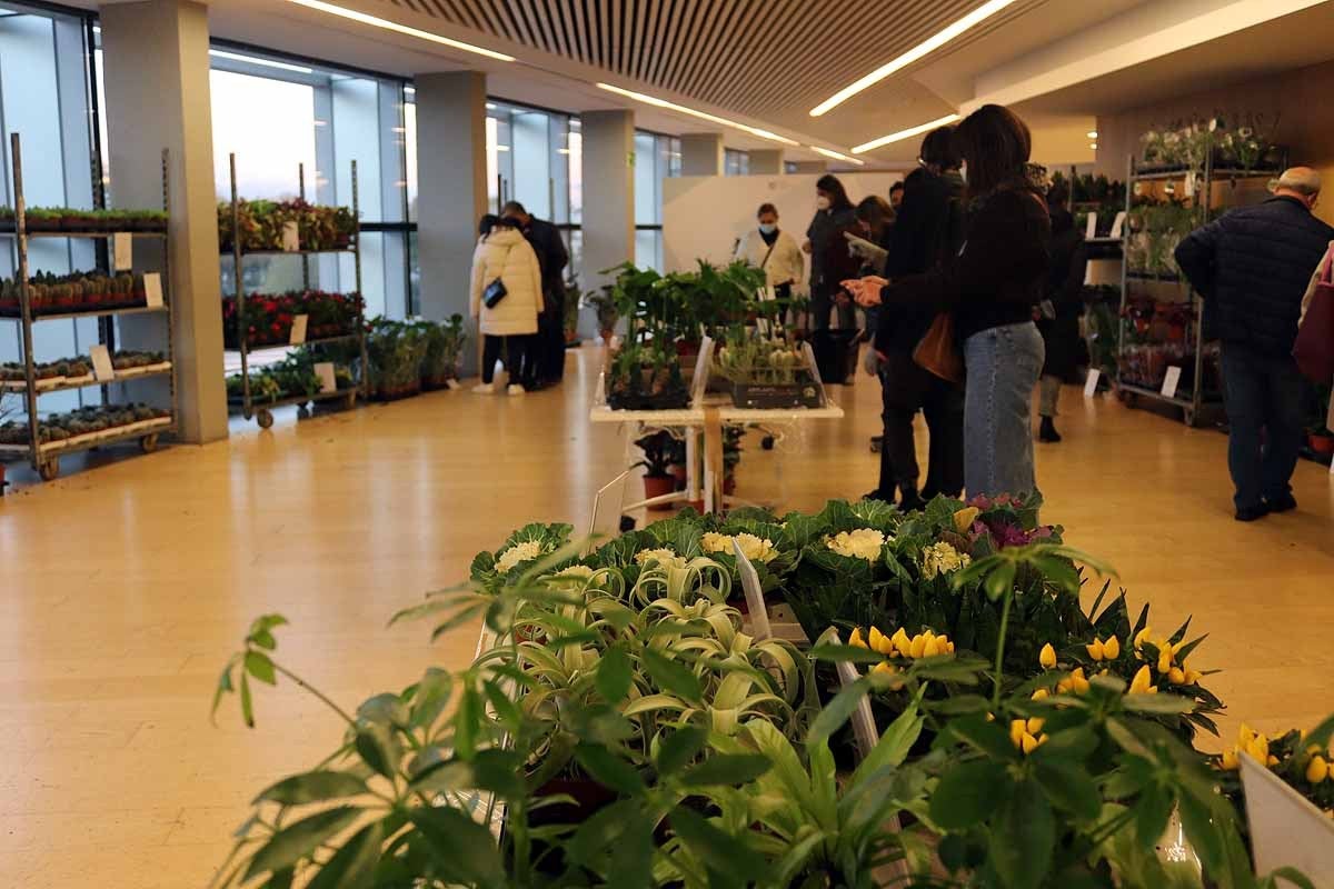 Feria de plantas en Burgos. 