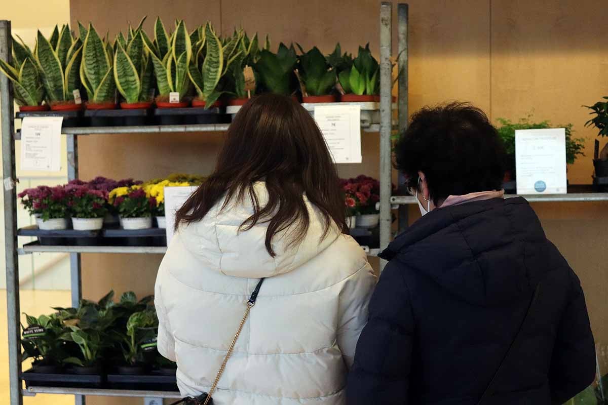 Fotos: Un jardín de fin de semana para Burgos