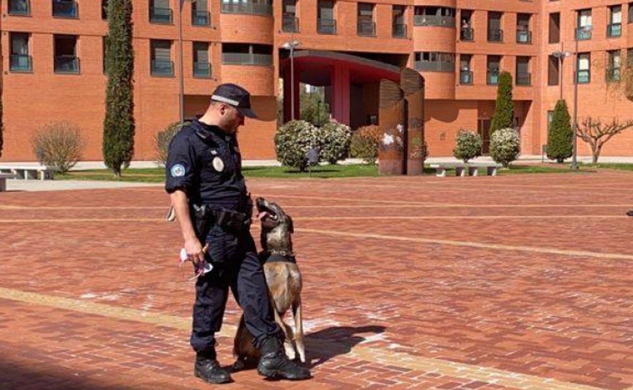 Agente de la Unidad Canina de Burgos durante una exhibición el pasado mes de marzo de 2020.