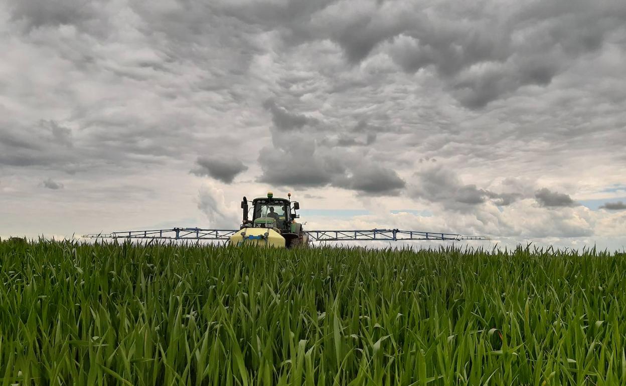 Labores agrícolas en la provincia de Valladolid. 