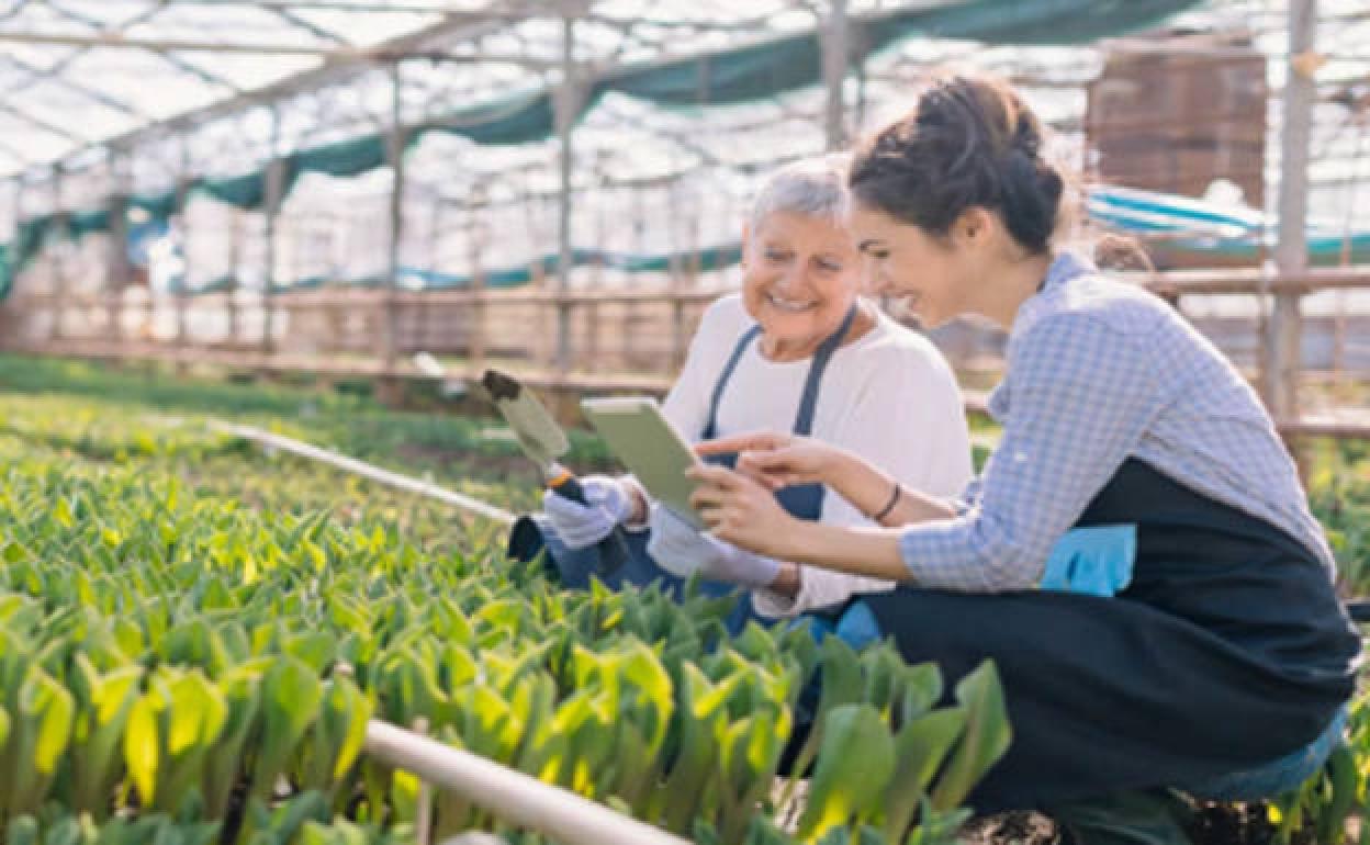 SODEBUR fomenta el emprendimiento en el sector de la economía plateada en el medio rural