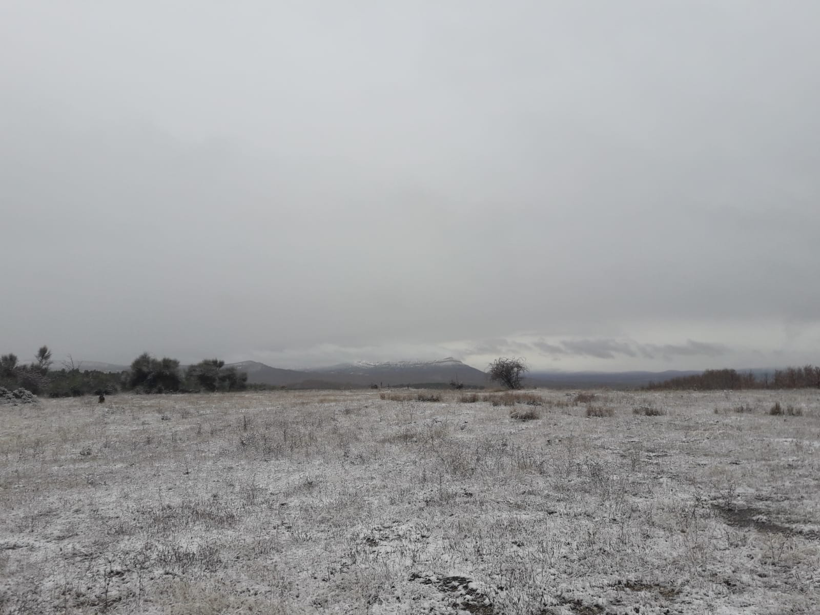 Nieve en el pueblo burgalés de La Gallega. 