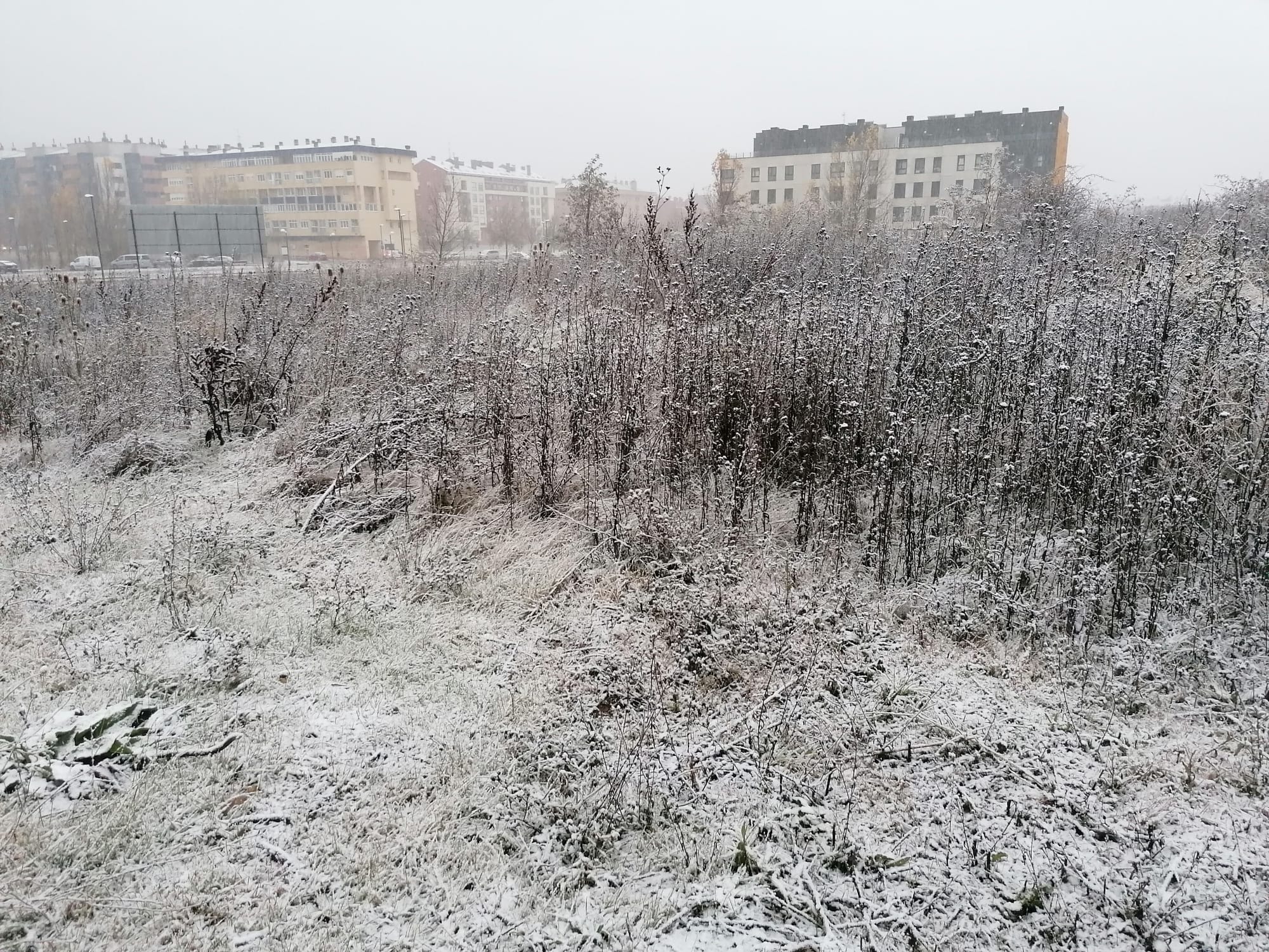 Fotos: La primera nevada del otoño en Burgos en imágenes