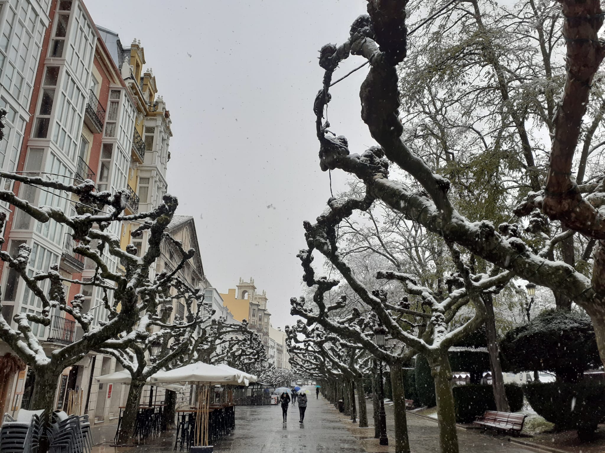 Fotos: La primera nevada del otoño en Burgos en imágenes