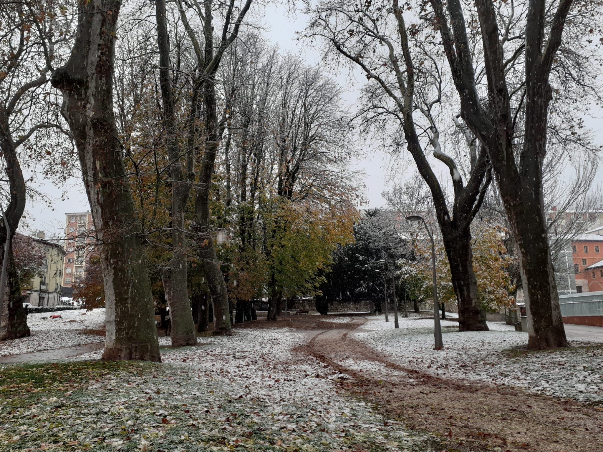 Fotos: La primera nevada del otoño en Burgos en imágenes