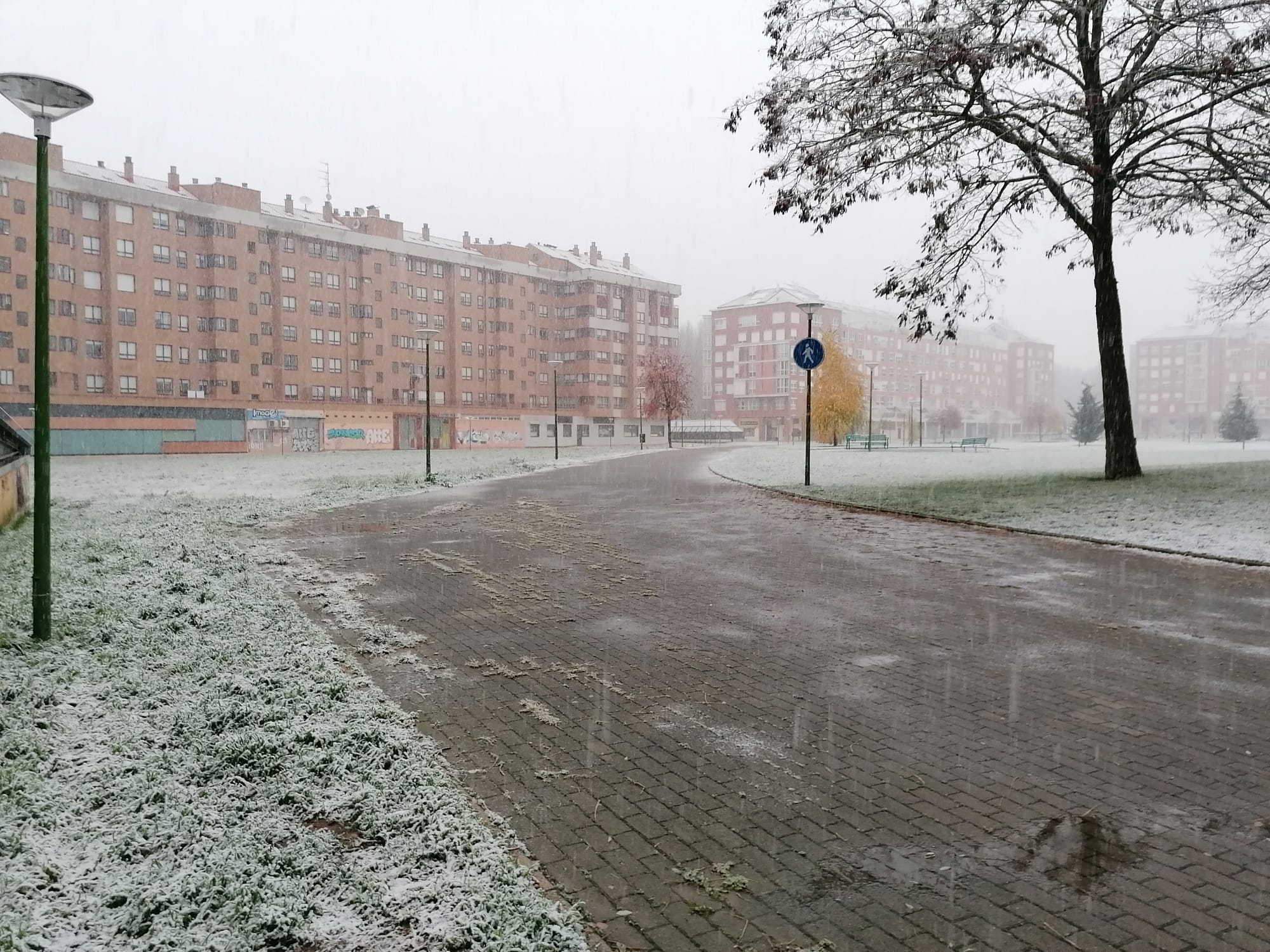 Fotos: La primera nevada del otoño en Burgos en imágenes