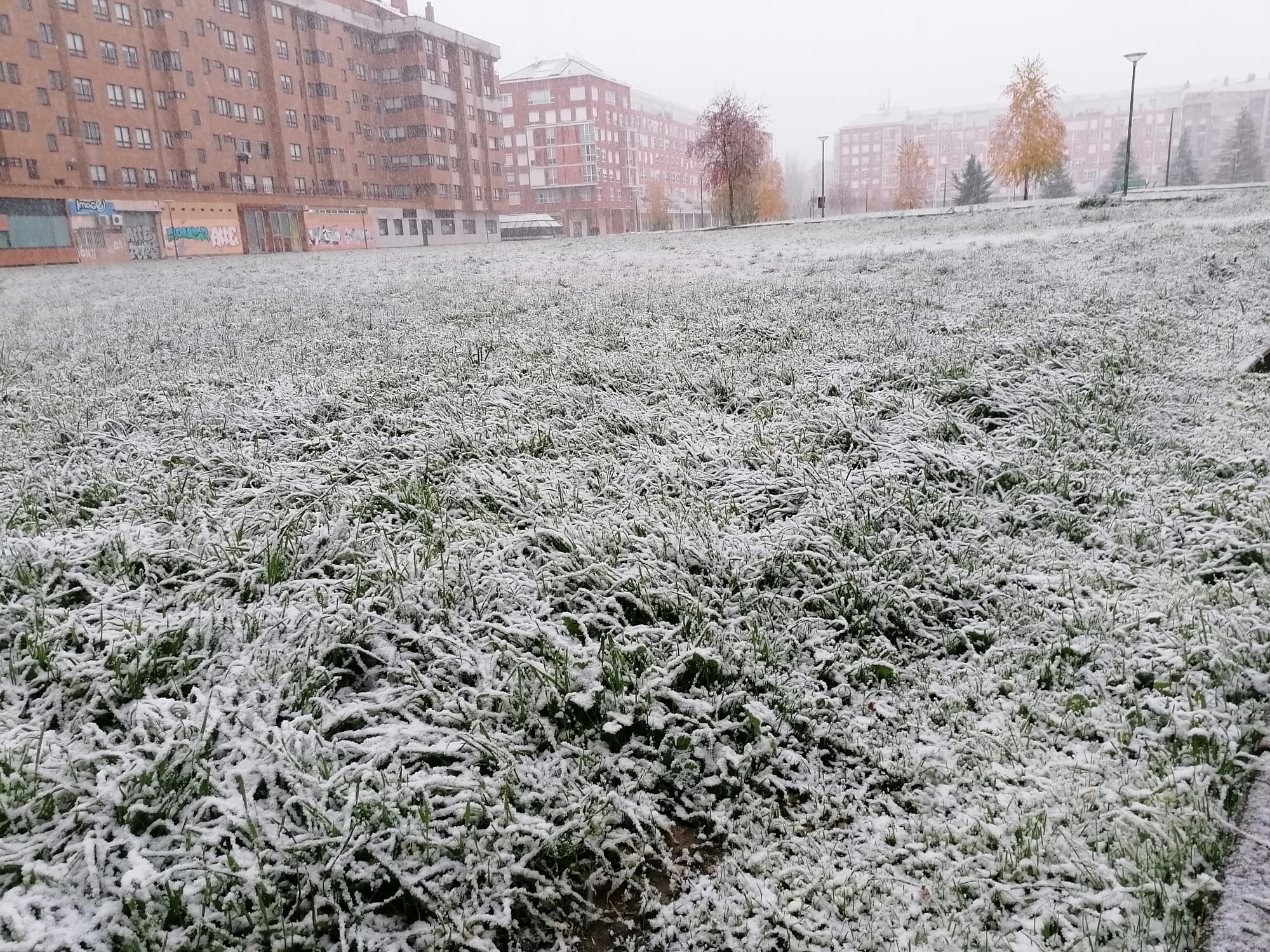 Fotos: La primera nevada del otoño en Burgos en imágenes