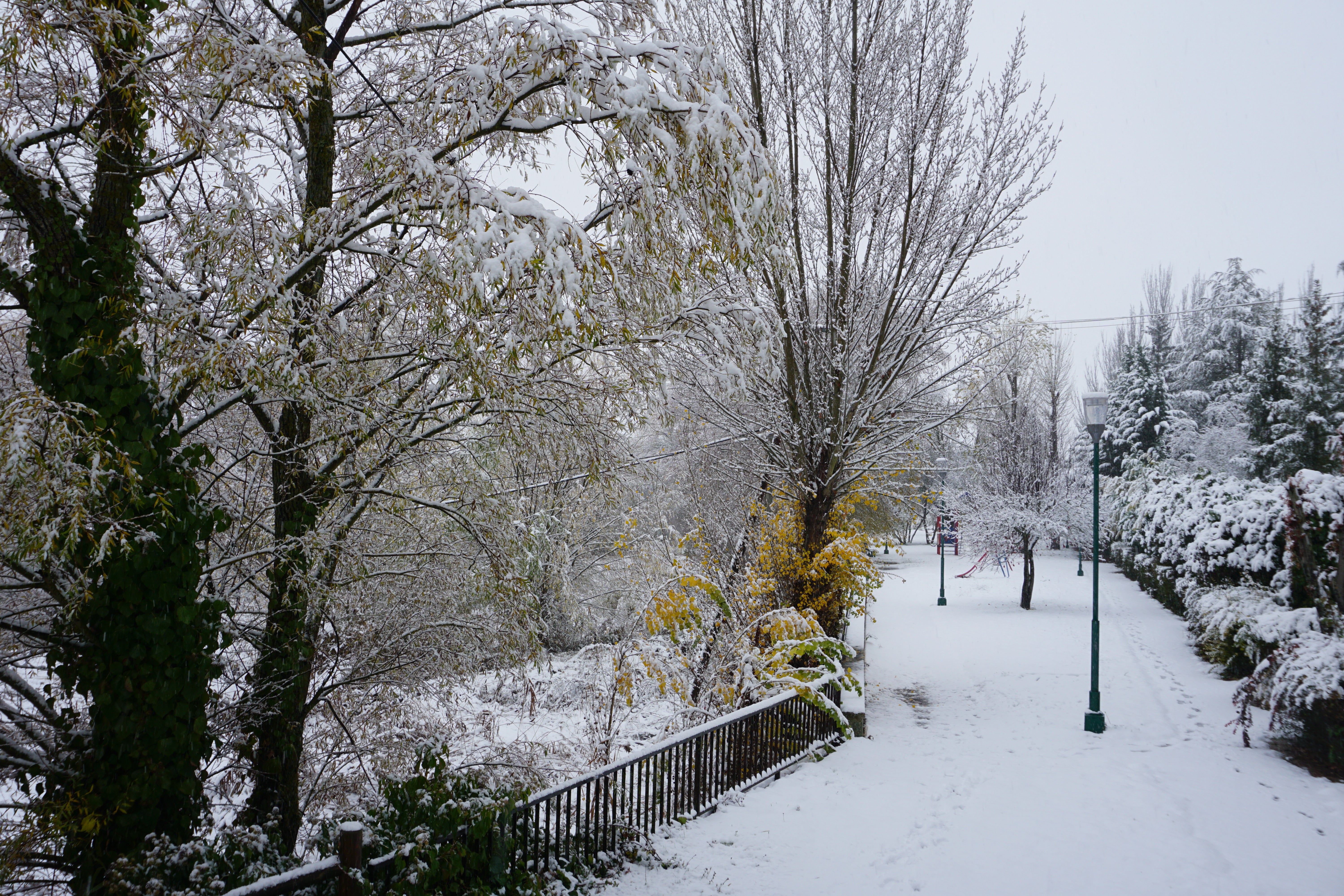 Fotos: La nieve se extiende por la provincia de Burgos