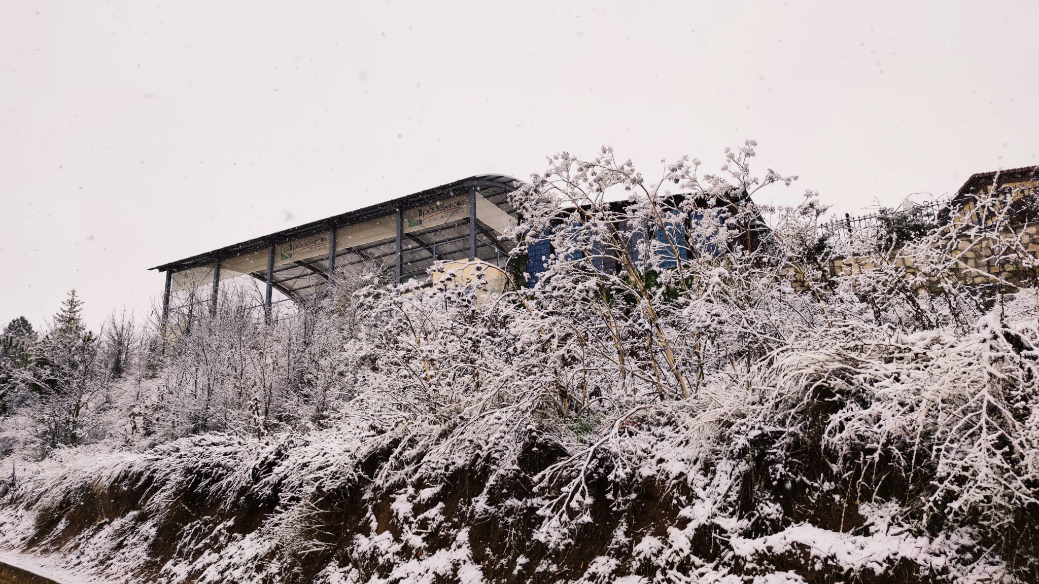 Fotos: La nieve se extiende por la provincia de Burgos