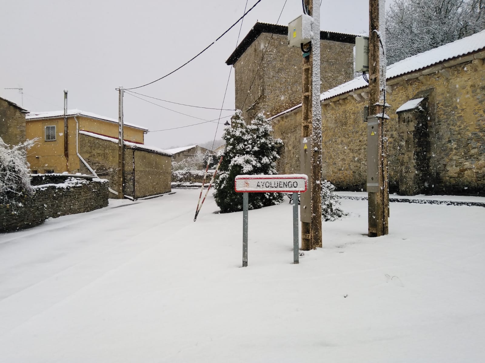 Fotos: La nieve se extiende por la provincia de Burgos