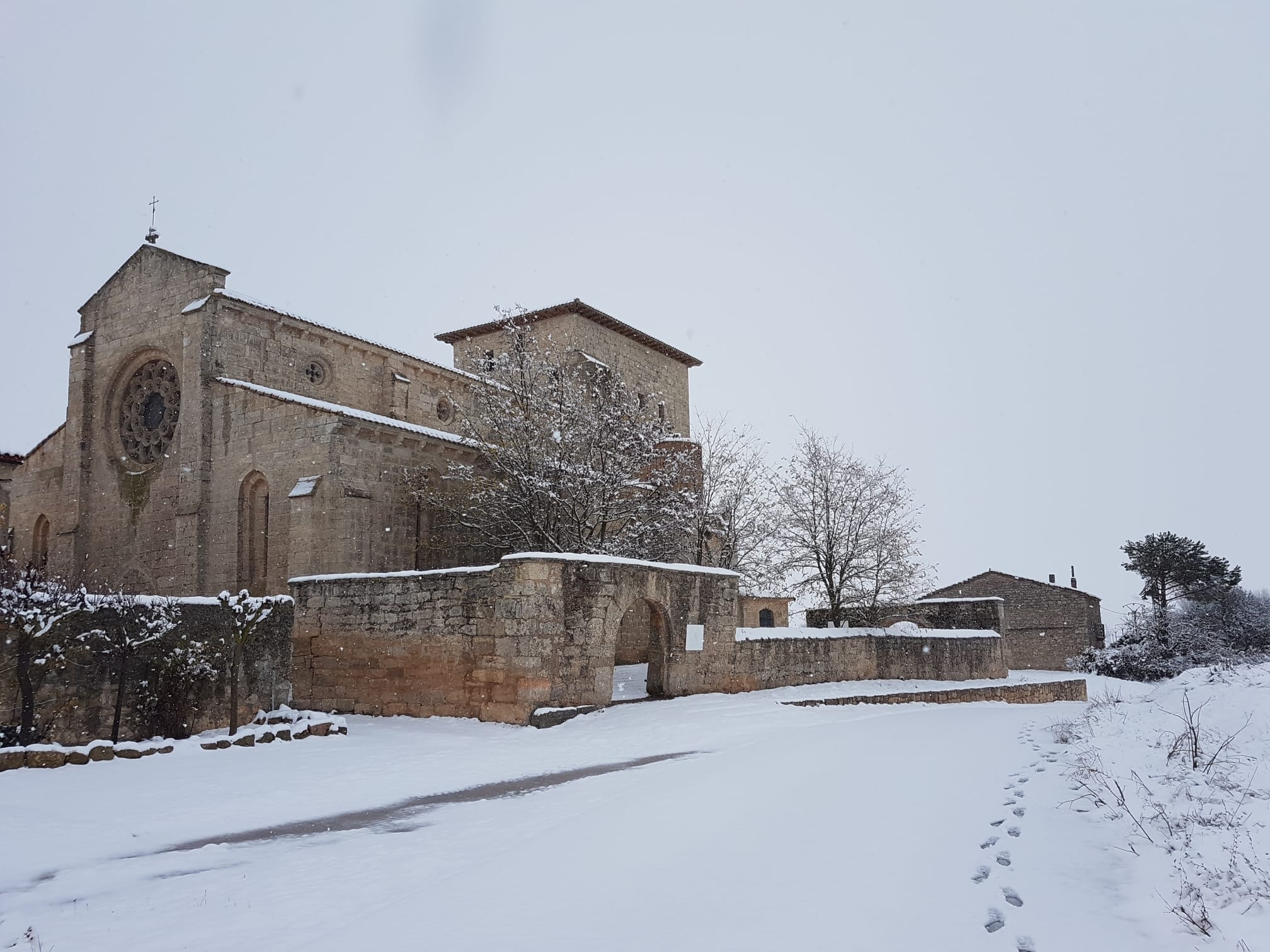 Fotos: La nieve se extiende por la provincia de Burgos