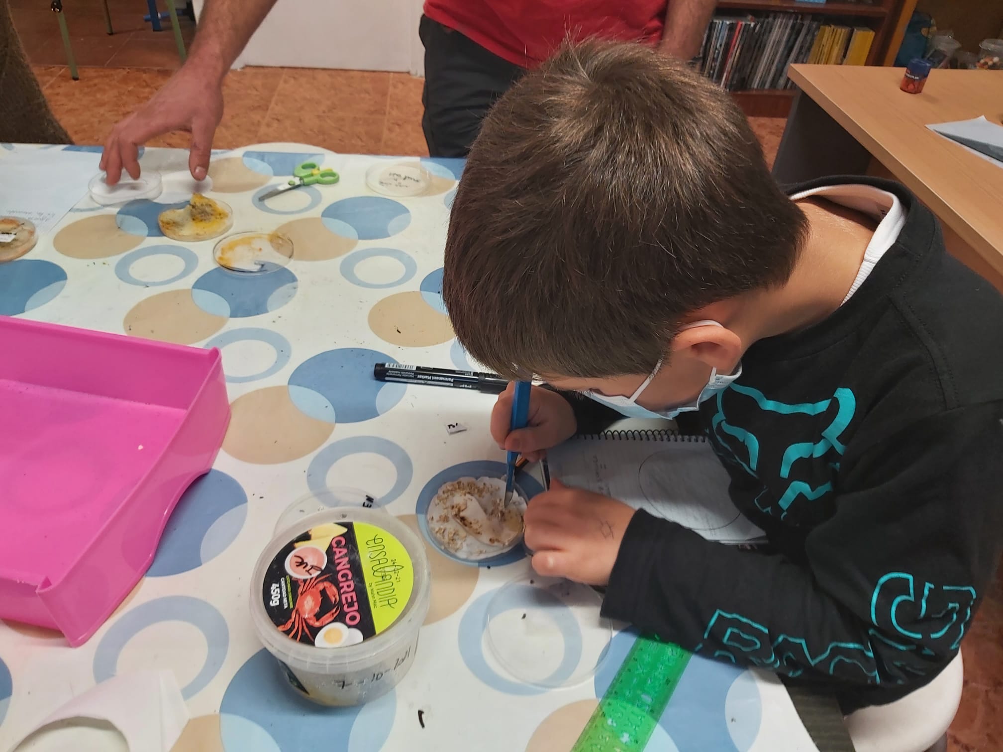 Fotos: Espiciencia engancha a la ciencia y la tecnología a los niños de Las Merindades