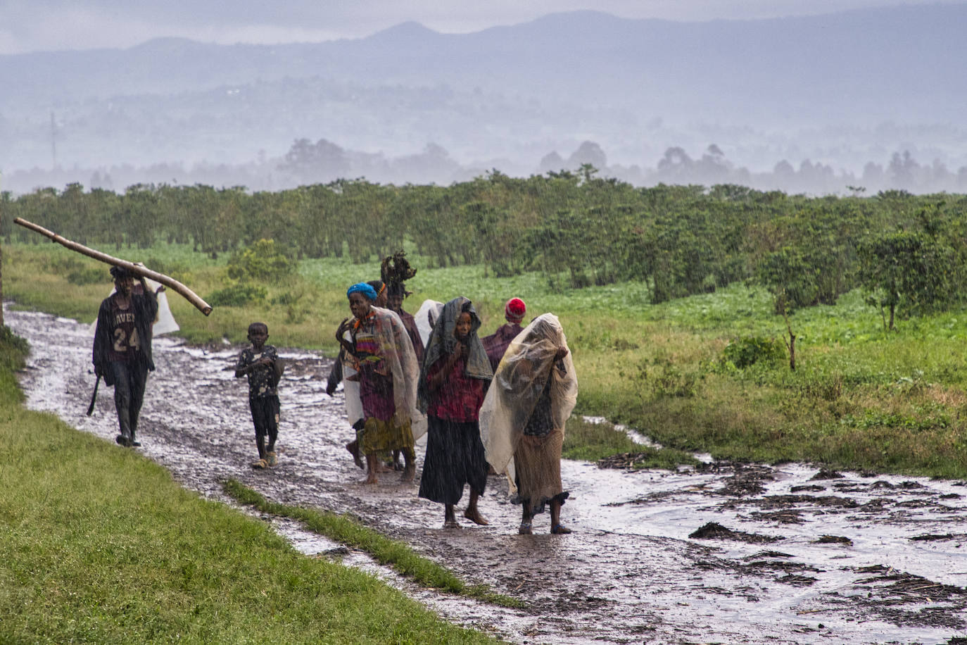 Vuelta del trabajo en el campo al atardecer y con lluvia en Rubare (Congo)