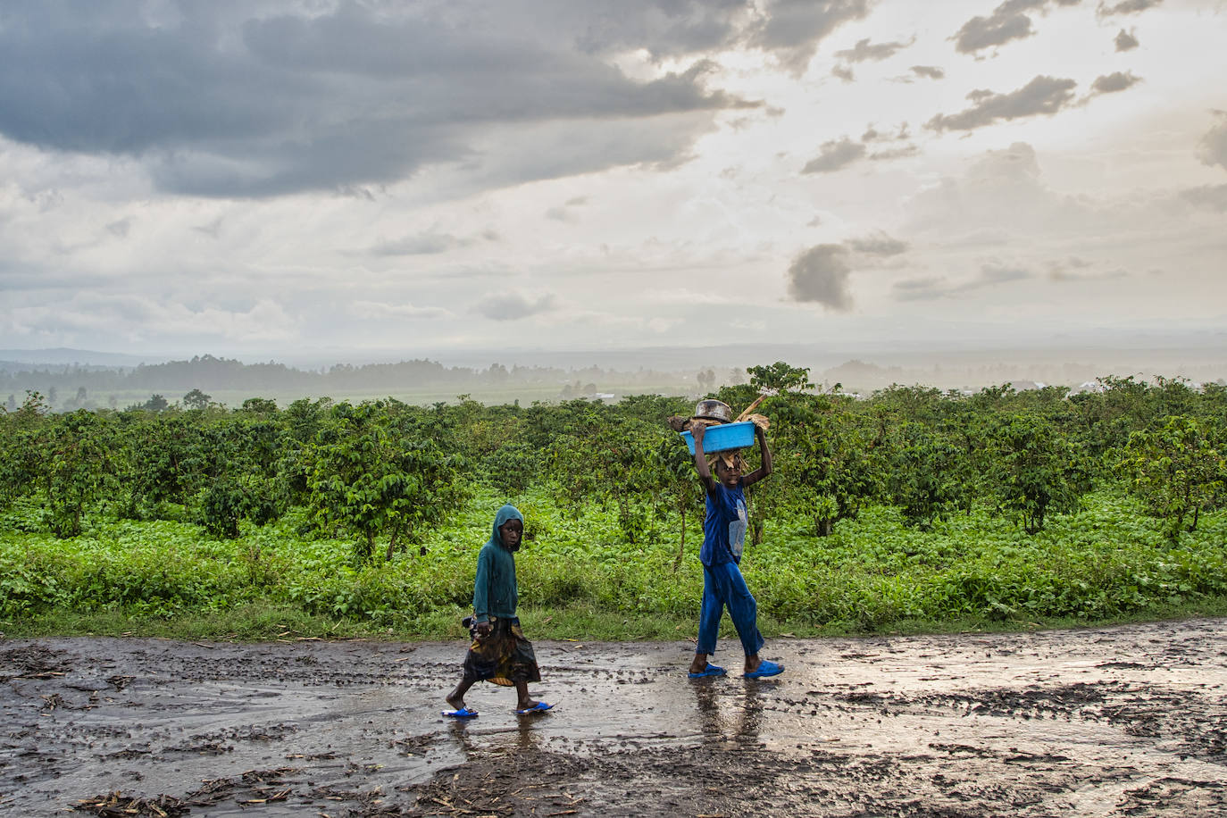 Niños de Rubare (Congo) vuelven de trabajar en el campo al atardecer