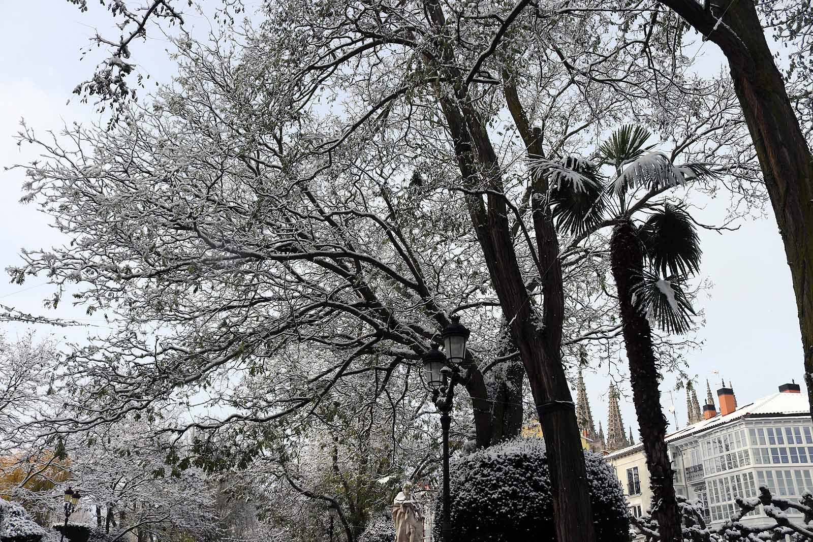 La capital amanece blanca tras la nieve de la pasada noche.