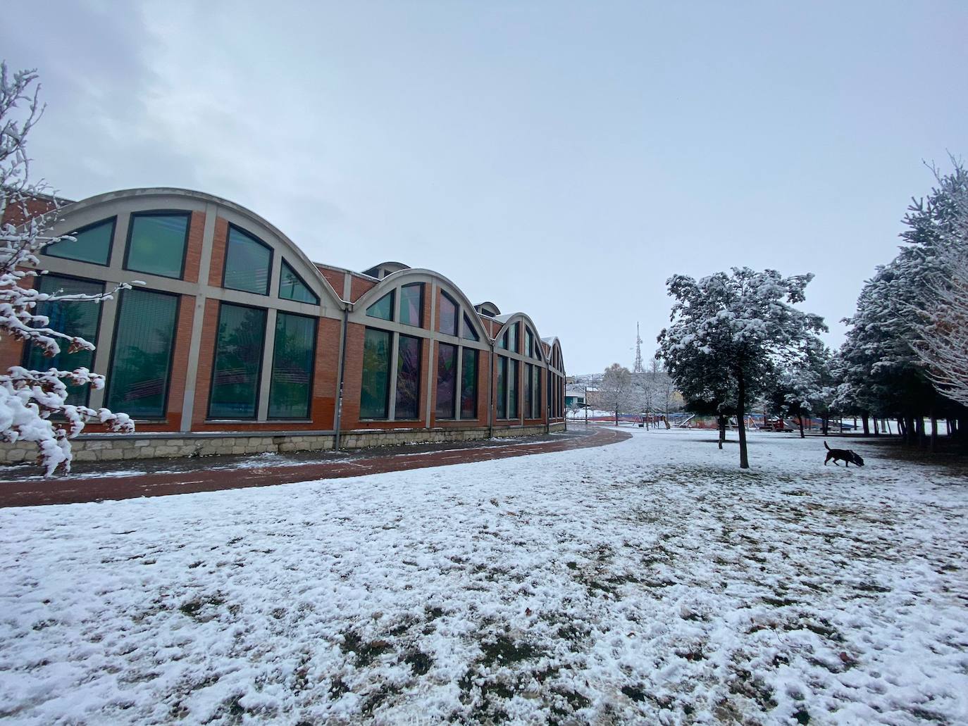 Fotos: La nieve aprovecha la noche para cubrir la provincia