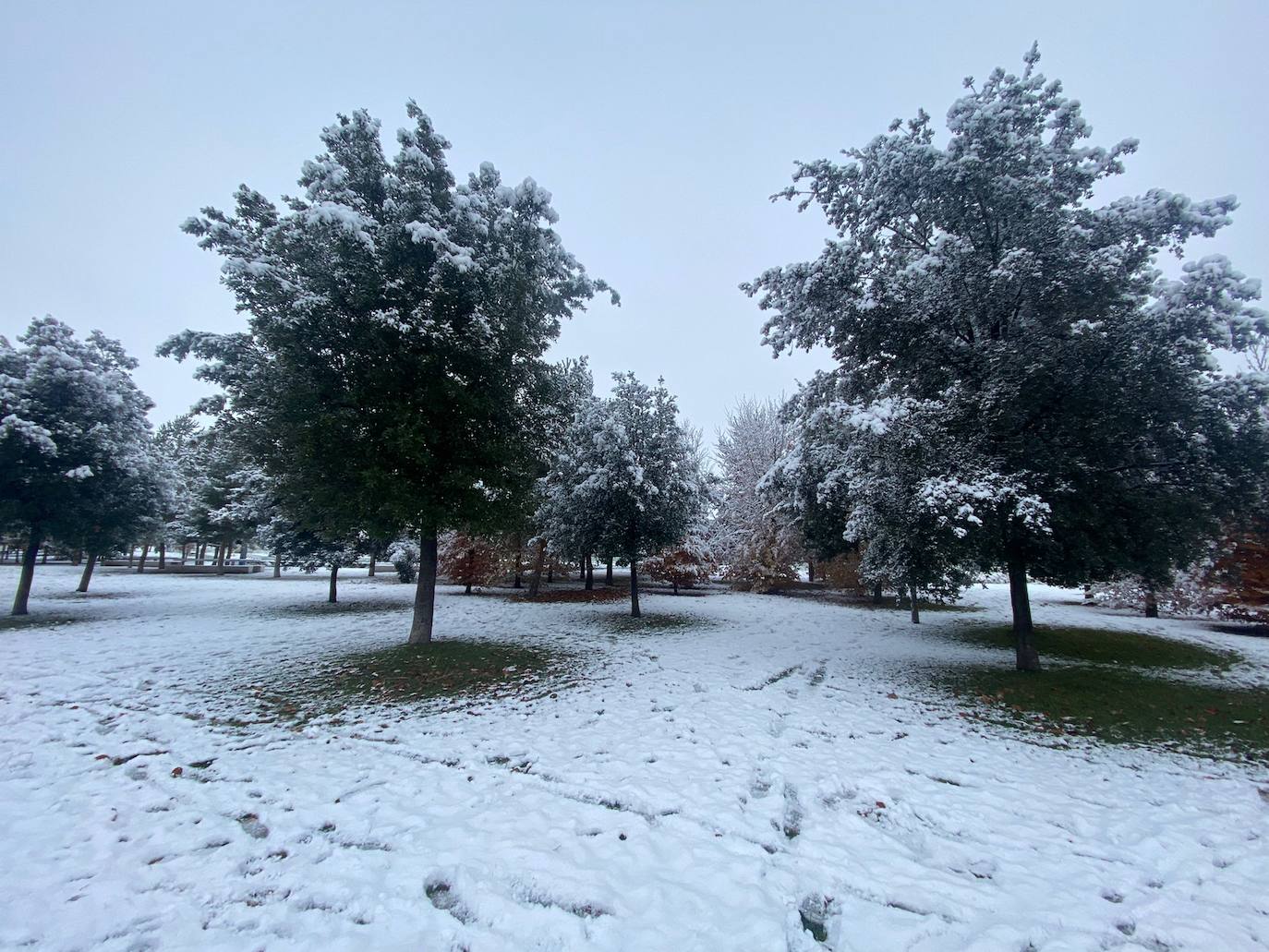 Fotos: La nieve aprovecha la noche para cubrir la provincia