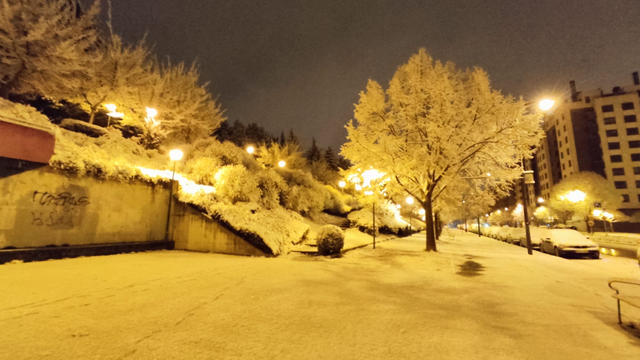 Fotos: La nieve aprovecha la noche para cubrir la provincia