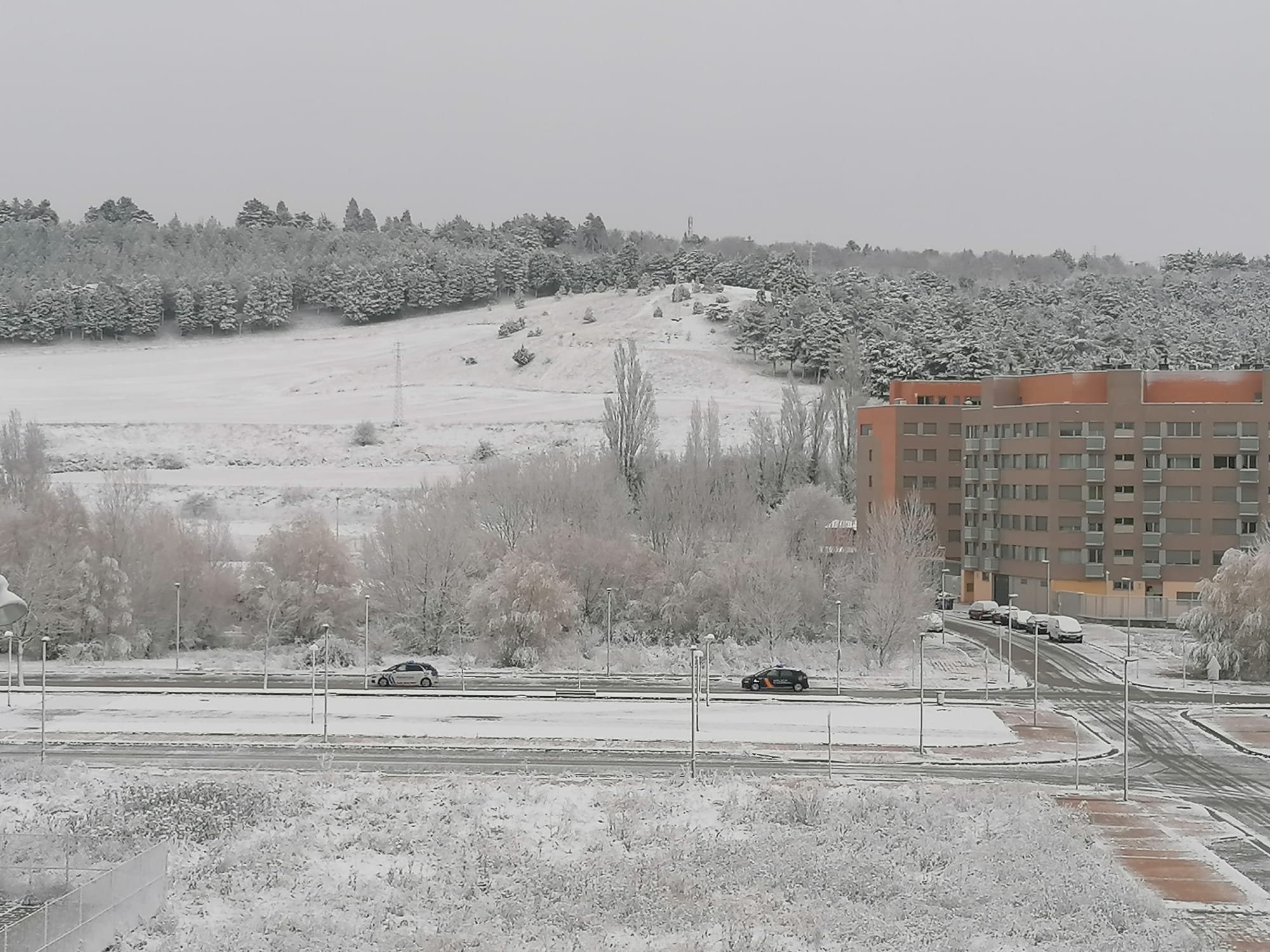 Fotos: La nieve aprovecha la noche para cubrir la provincia