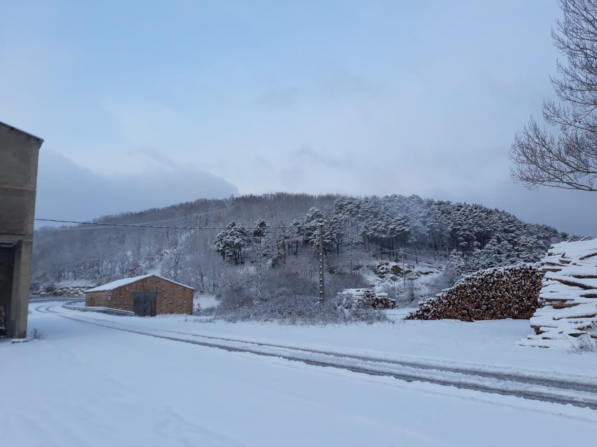 Fotos: La nieve aprovecha la noche para cubrir la provincia