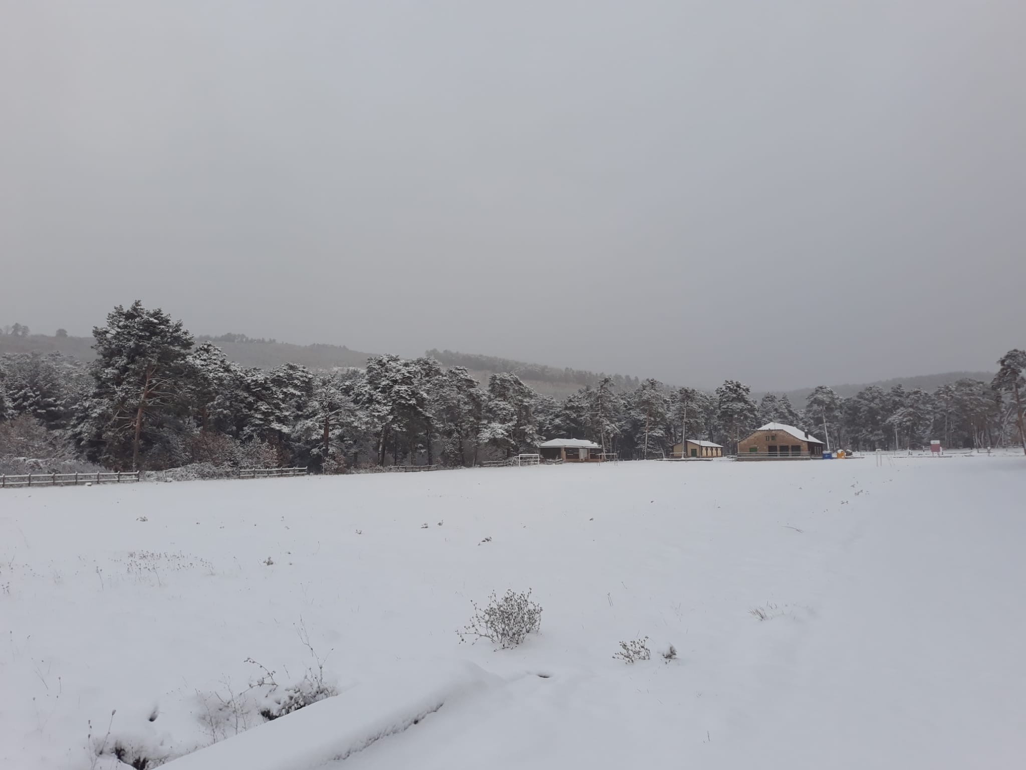 Fotos: La nieve aprovecha la noche para cubrir la provincia