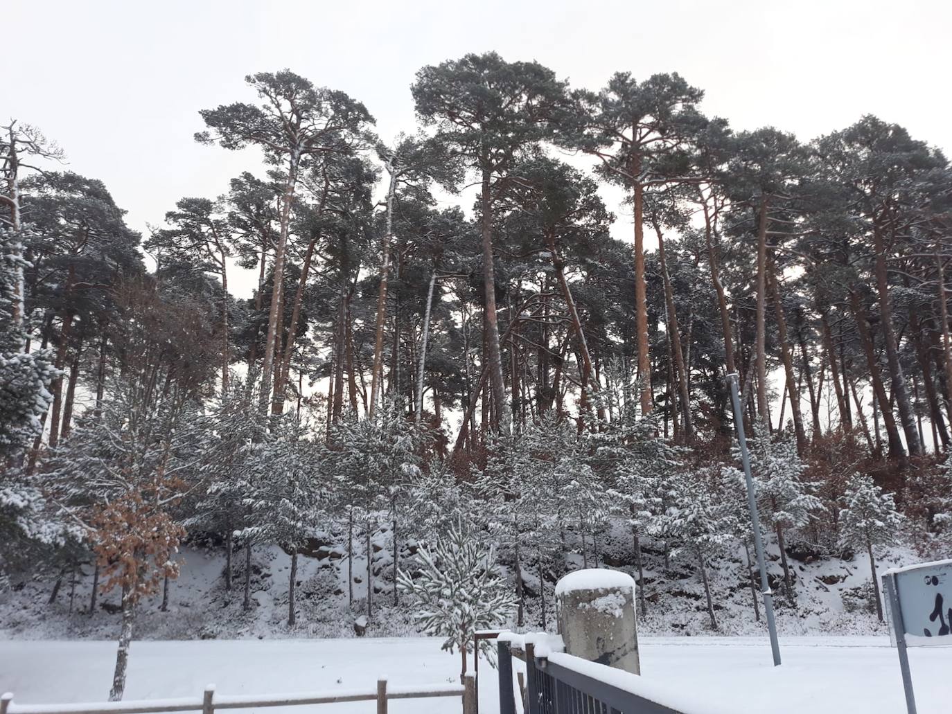 La nieve aprovecha la noche para cubrir la provincia