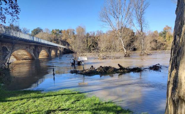 Galería. Imágenes de las inundaciones en la provincia.